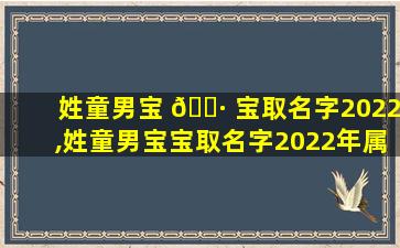 姓童男宝 🌷 宝取名字2022,姓童男宝宝取名字2022年属虎
